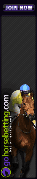 Online Horse Betting