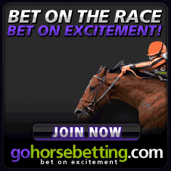 Online Horse Betting