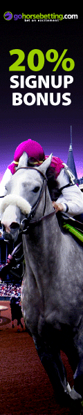Bet on Breeders Cup - Go Horse Betting
