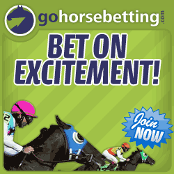 Online Horse Betting