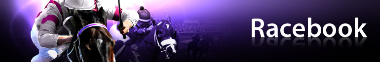 Horse Racing Terms Glossary