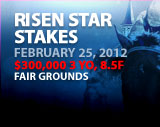Risen Stars Stakes - Bet Now!