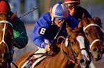 Horse Betting