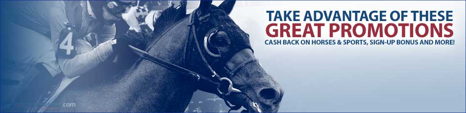 Bet On Horses!