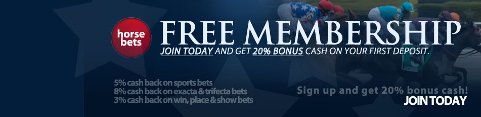 Bet On Horses!