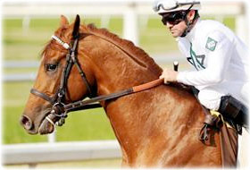 Drosselmeyer