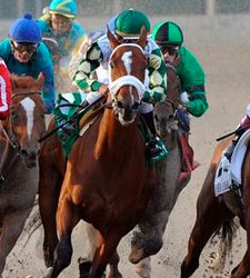 Mucho Macho Man
