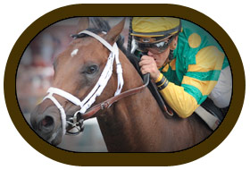 Palace Malice