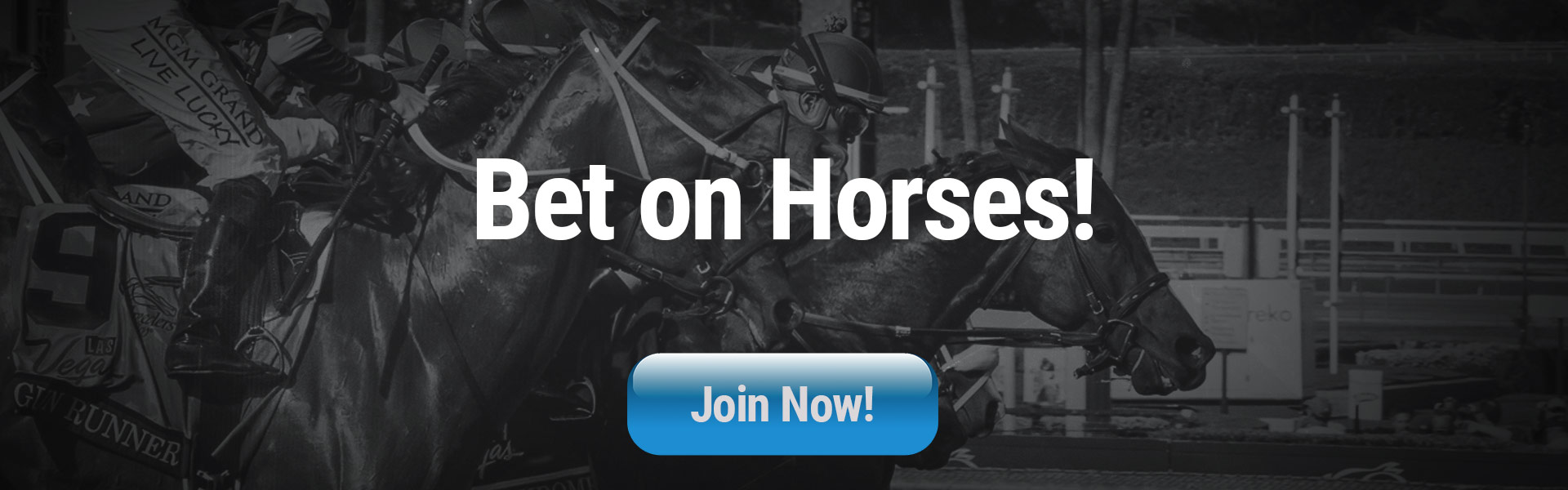 online horse betting