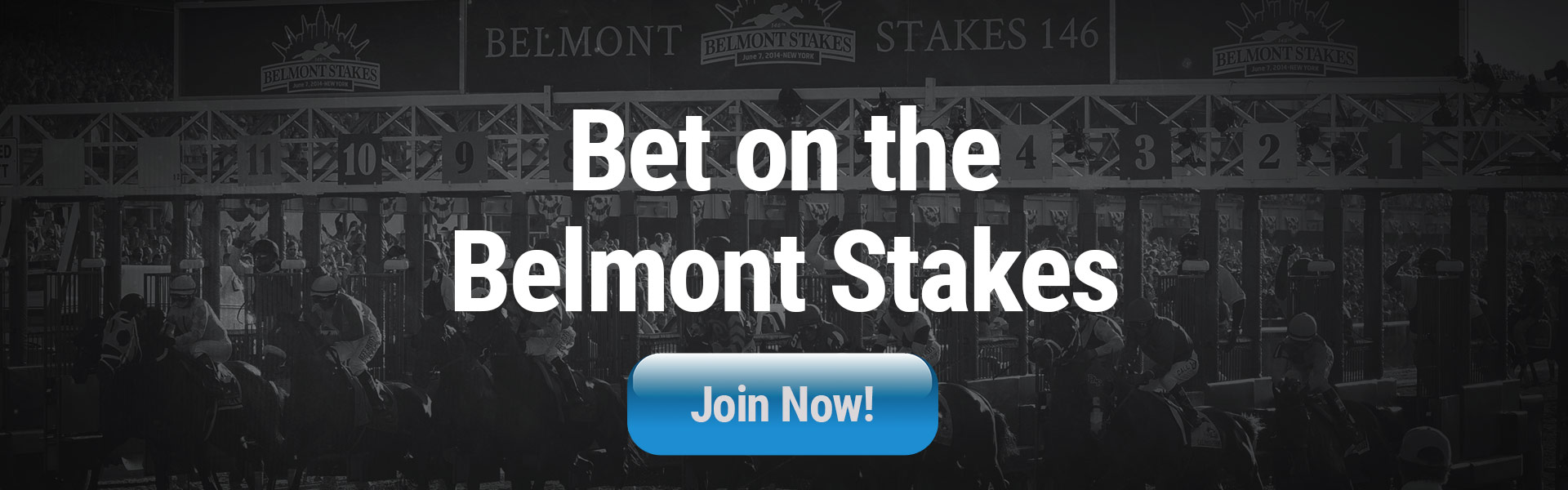 Belmont Stakes Betting