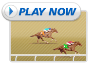 Horse Racing Games